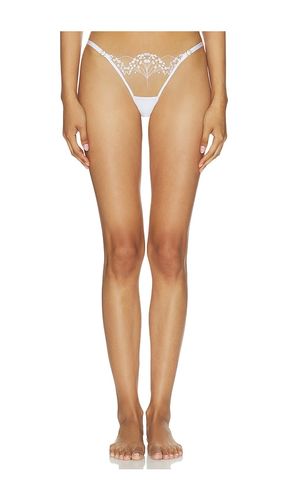 Marisa Brief in . - size S (also in XL, XS, XXL, XXS) - BLUEBELLA - Modalova