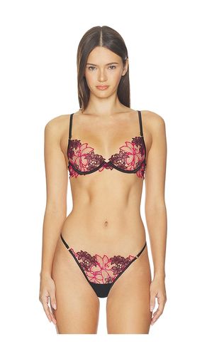 Calantha Wired Bra in Multi. - size 32B (also in 32C, 32D, 32DD, 34B, 34C, 34D, 34DD, 36B, 36C, 36D, 36DD) - BLUEBELLA - Modalova