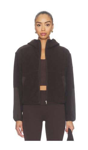Polarflex Jacket in Chocolate. - size L (also in M, S, XL, XS) - Beyond Yoga - Modalova