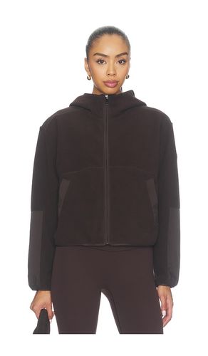 Polarflex Jacket in Chocolate. - size L (also in M, S, XL, XS) - Beyond Yoga - Modalova