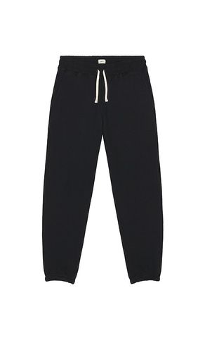Terry Sweatpant in . - size L (also in M, S, XL/1X) - Bather - Modalova
