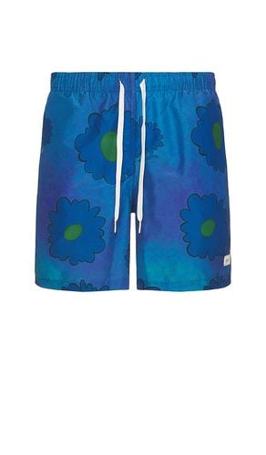 Swim Trunk in Blue. - size L (also in M, S, XL/1X) - Bather - Modalova