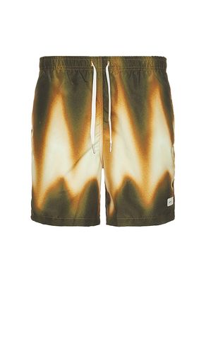 Swim Trunk in Brown. - size L (also in M, XL/1X) - Bather - Modalova