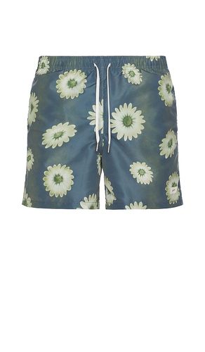 Concrete Air Garden Swim Trunks in . - size L (also in M, S, XL/1X) - Bather - Modalova
