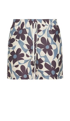 Pastel Daisy Trip Swim Trunks in . - size L (also in M, S, XL/1X) - Bather - Modalova
