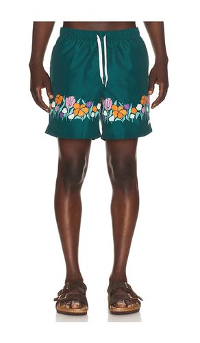Evergreen Lawn Printed Swim Trunks in . Size L. Also in M, S, XL/1X - Bather - Modalova