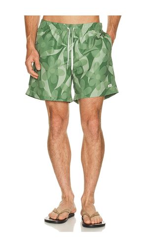 SHORTS FERN in . Größe L. Also in M, S, XL/1X - Bather - Modalova