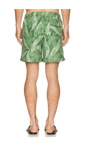 SHORTS FERN in . Größe L. Also in M, S, XL/1X - Bather - Modalova