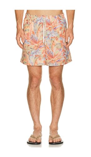 SHORTS MACAW in . Größe L. Also in M, S, XL/1X - Bather - Modalova