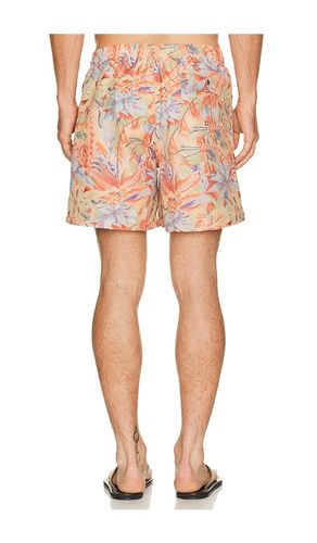 Macaw Jungle Swim Trunk in . Size L. Also in M, S, XL/1X - Bather - Modalova