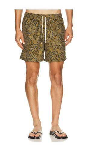 SHORTS CROC in . Größe L. Also in M, S, XL/1X - Bather - Modalova