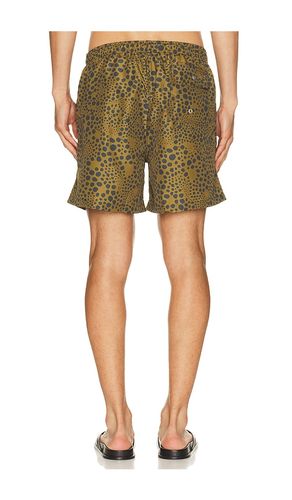 Croc Speckle Swim Trunk in . - size L (also in M, S, XL/1X) - Bather - Modalova