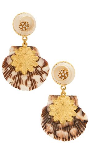 Oceana Earrings in - Brinker + Eliza - Modalova