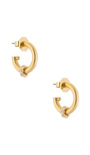 Pendientes de aro bay en color oro metálico talla all - Brinker + Eliza - Modalova