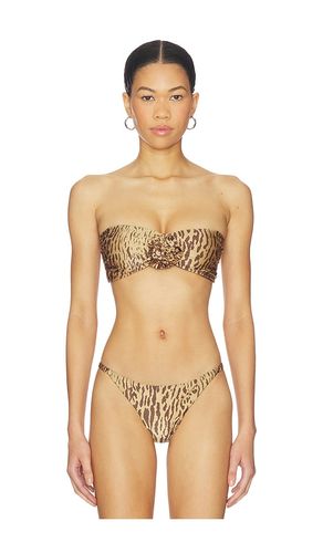 Makis Bikini Top in Brown. - size L (also in M, S, XS) - BOAMAR - Modalova