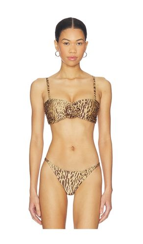 Makis Bikini Top in Brown. - size L (also in M, S, XS) - BOAMAR - Modalova