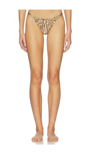 Page Bikini Bottom in Brown. - size L (also in M) - BOAMAR - Modalova