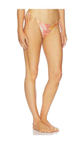 Naos Bikini Bottom in Orange. - size L (also in M, S, XL, XS) - BOAMAR - Modalova