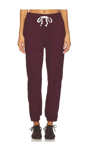 Button Jogger Pant in Purple. - size L (also in M, S, XL, XS) - Bobi - Modalova