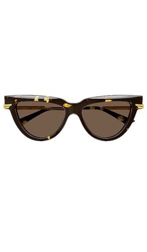 Combi Cat Eye Sunglasses in Brown - Bottega Veneta - Modalova