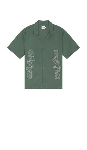 Floral Embroidery Shirt in . - size L (also in M, S, XL/1X) - Bound - Modalova