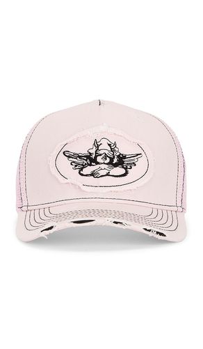 Miss Mayhem Trucker in Pink - Boys Lie - Modalova