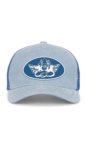 Wave Rider Trucker in - Boys Lie - Modalova