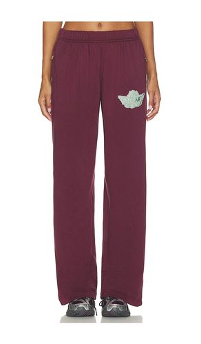 HOSE HAD ME AT MERLOT ALEX in . Größe L. Also in M, S, XS - Boys Lie - Modalova