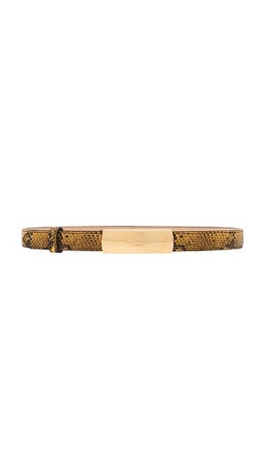 GÜRTEL CALFSKIN EMBOSSED PYTHON 2CM in . Größe 65. Also in 70, 75 - BALMAIN - Modalova
