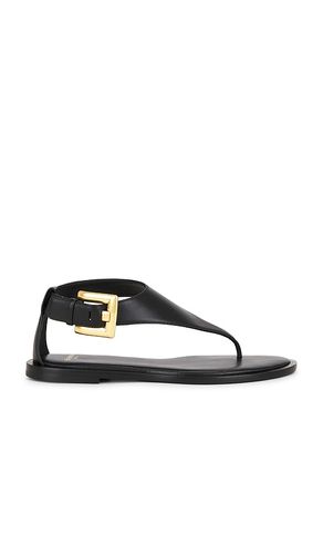 SANDALE ANTHEM THONG in . Größe 36. Also in 37, 38, 39 - BALMAIN - Modalova