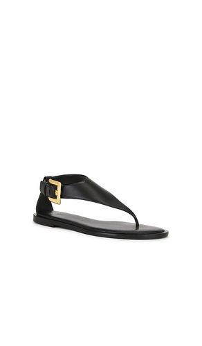 SANDALE ANTHEM THONG in . Größe 36. Also in 38, 39, 40 - BALMAIN - Modalova
