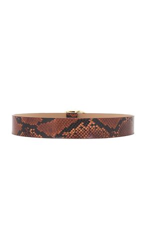 Kyra python belt in color size S (also in M, L) - B-Low the Belt - Modalova