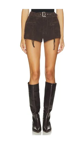 Suede Hot Shorts in Chocolate. - size 24 (also in 25, 26, 27, 28, 29) - BLANKNYC - Modalova