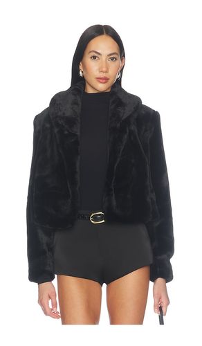 Faux Fur Jacket in . Size L. Also in M, S, XS - BLANKNYC - Modalova