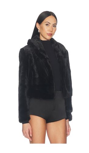 Faux Fur Jacket in . Size L. Also in M, S, XS - BLANKNYC - Modalova