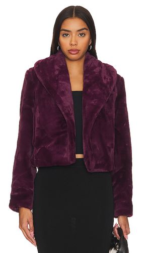 Faux Fur Jacket in . Size M, XS - BLANKNYC - Modalova
