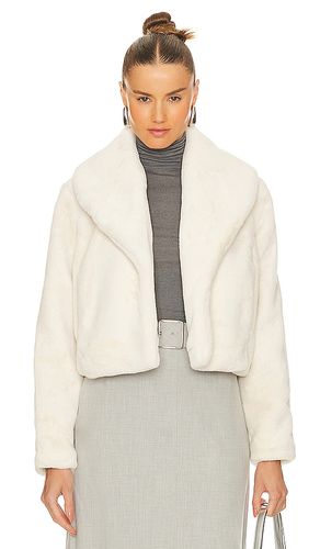 Faux Fur Jacket in . Size L. Also in M, S, XS - BLANKNYC - Modalova