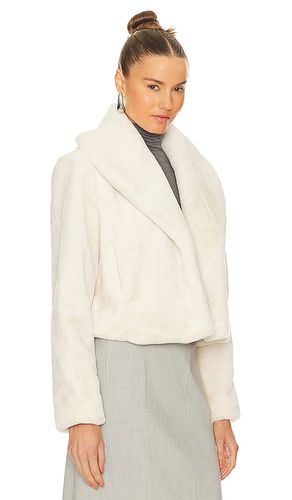 Faux Fur Jacket in . Taglia L. Also in M, S, XS - BLANKNYC - Modalova