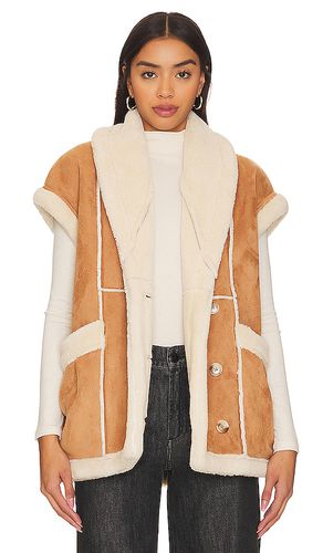 Faux leather sherpa vest in color tan size L in - Tan. Size L (also in M) - BLANKNYC - Modalova