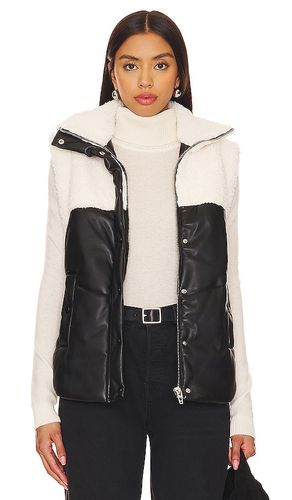 BLANKNYC Vest in Black. Size S, XS - BLANKNYC - Modalova