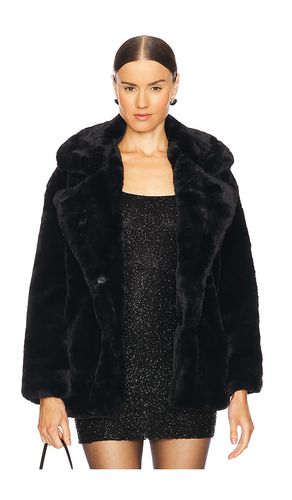 Faux Fur Coat in . - size L (also in M) - BLANKNYC - Modalova