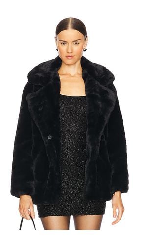 Faux Fur Coat in . Size M - BLANKNYC - Modalova