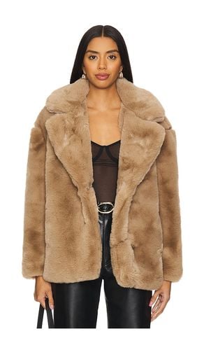 Faux Fur Coat in Brown. - size L (also in M) - BLANKNYC - Modalova