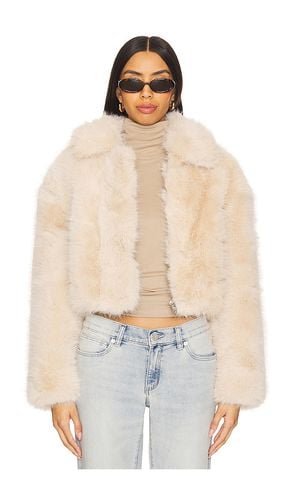 Crop Faux Fur Jacket in Cream. - size L (also in M, S, XS) - BLANKNYC - Modalova