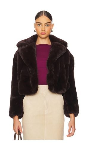 Faux Fur Jacket in Brown. - size L (also in M, S, XL, XS) - BLANKNYC - Modalova