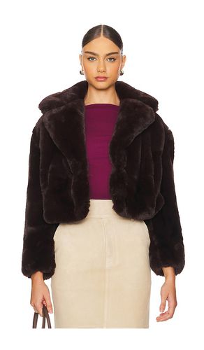 Faux Fur Jacket in Brown. - size L (also in XL) - BLANKNYC - Modalova