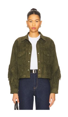 Jacket in Olive. - size L (also in M, S, XS) - BLANKNYC - Modalova