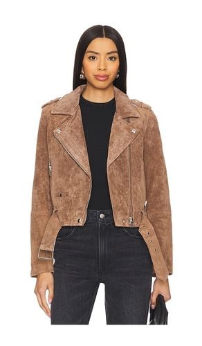 Suede Cropped Moto Jacket in Brown. - size L (also in M, S, XS) - BLANKNYC - Modalova