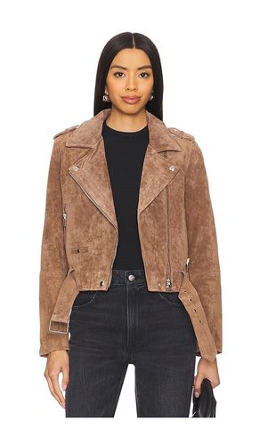 Coffee Bean Suede Cropped Moto Jacket in . Size XS - BLANKNYC - Modalova