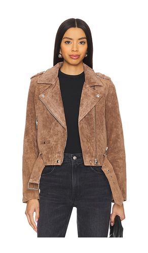 Coffee Bean Suede Cropped Moto Jacket in . Taglia M, S, XS - BLANKNYC - Modalova